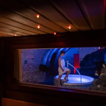 Sladovna فندق سيرنا هورا