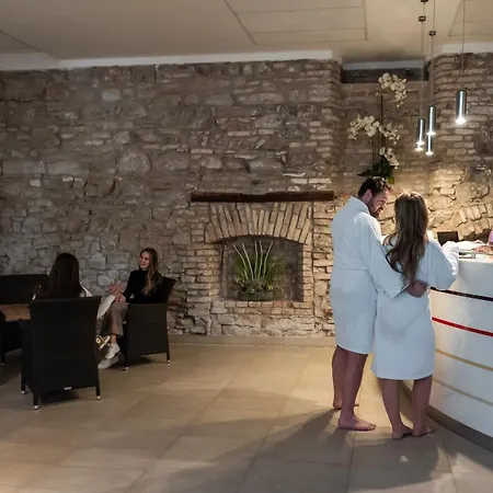 Sladovna فندق 4*